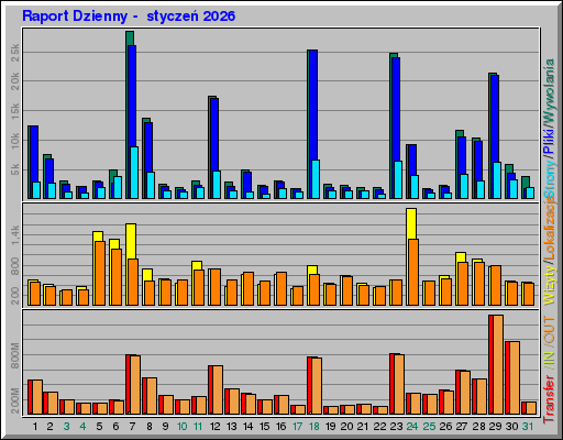 Raport Dzienny -  styczeń 2026