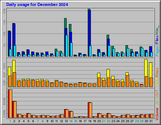 Raport Dzienny -  grudzień 2024