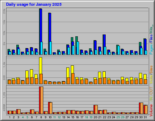 Raport Dzienny - styczeń 2025 Raport Dzienny - styczeń 2025