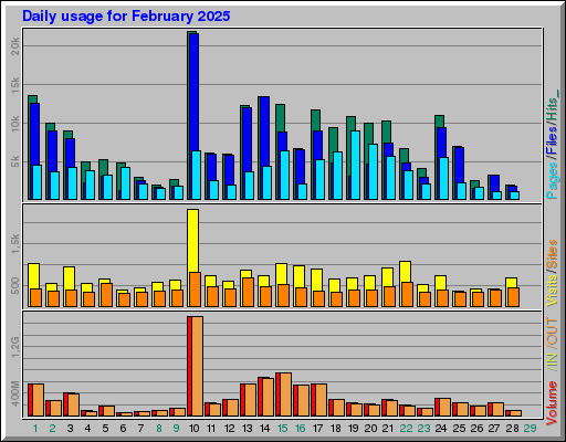 Raport Dzienny - luty 2025 Raport Dzienny - luty 2025