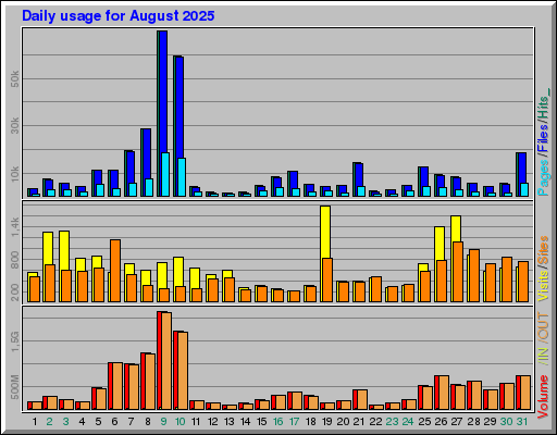 Raport Dzienny -  sierpień 2025
