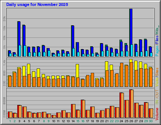 Raport Dzienny -  listopad 2025