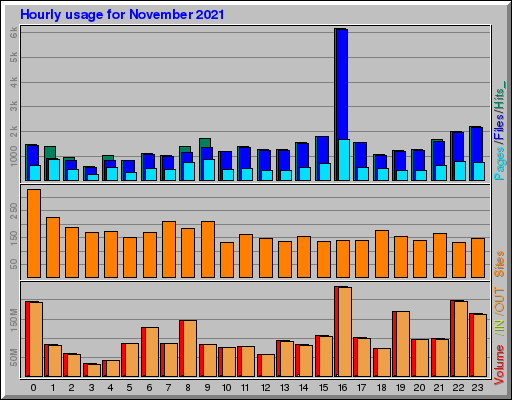 Raport Godzinowy -  listopad 2021