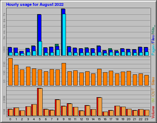 Raport Godzinowy -  sierpień 2022