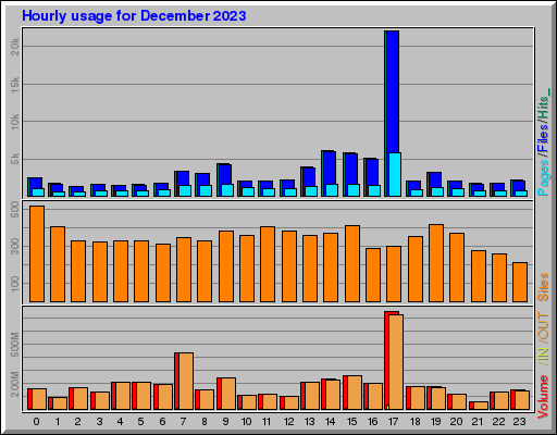 Raport Godzinowy -  grudzień 2023