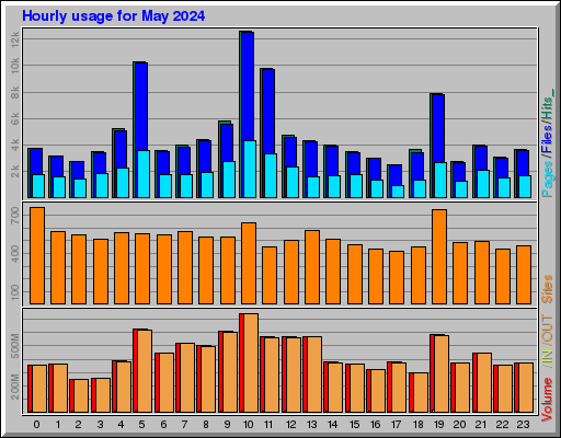 Raport Godzinowy -  Maj 2024