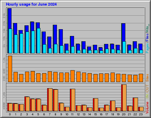 Raport Godzinowy -  czerwiec 2024