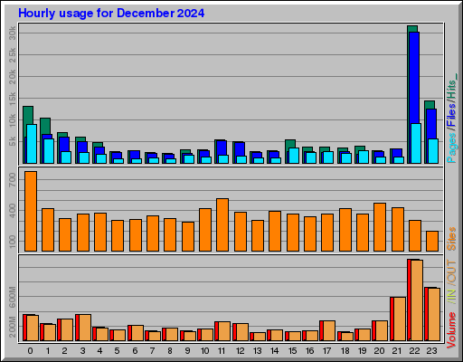 Raport Godzinowy -  grudzień 2024