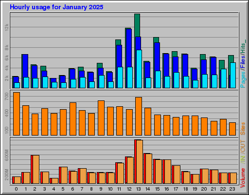 Raport Godzinowy - styczeń 2025 Raport Godzinowy - styczeń 2025