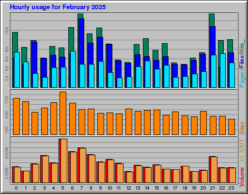 Raport Godzinowy -  luty 2025