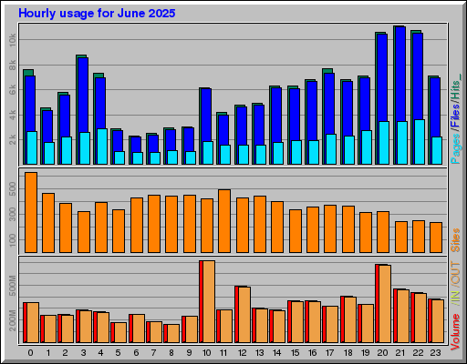 Raport Godzinowy -  czerwiec 2025