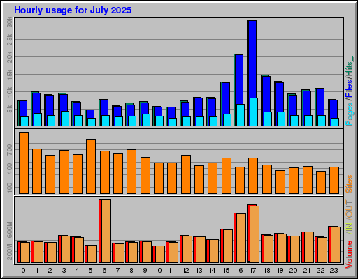 Raport Godzinowy -  lipiec 2025
