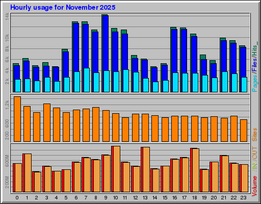 Raport Godzinowy -  listopad 2025