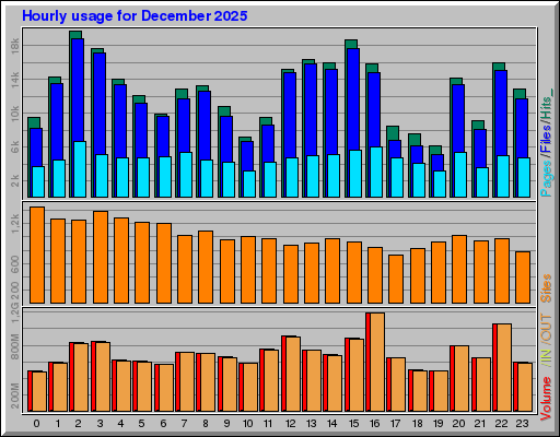Raport Godzinowy -  grudzień 2025