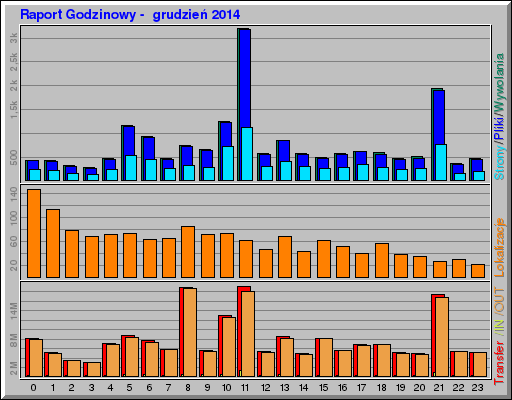 Raport Godzinowy -  grudzień 2014