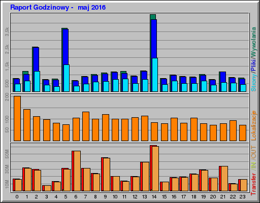 Raport Godzinowy -  maj 2016