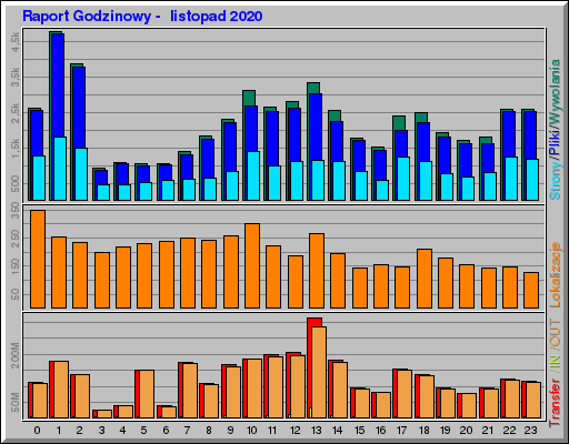 Raport Godzinowy -  listopad 2020