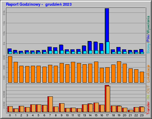 Raport Godzinowy -  grudzień 2023