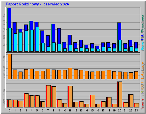 Raport Godzinowy -  czerwiec 2024