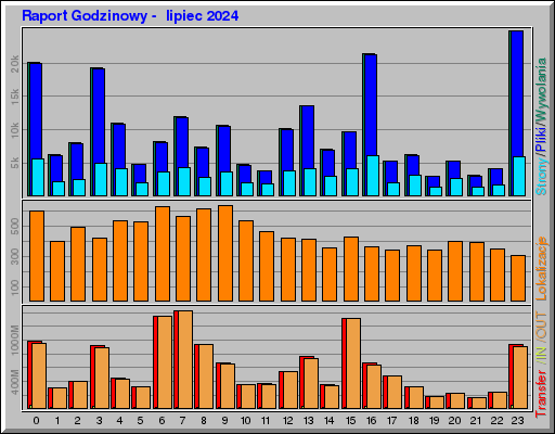 Raport Godzinowy -  lipiec 2024