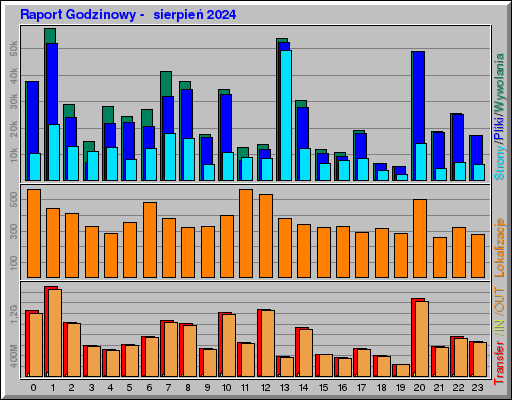 Raport Godzinowy -  sierpień 2024