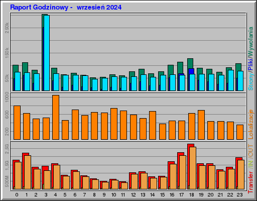Raport Godzinowy -  wrzesień 2024