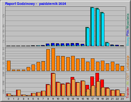 Raport Godzinowy -  październik 2024