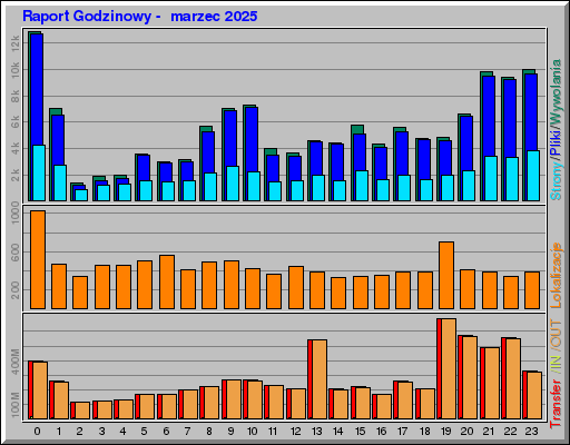 Raport Godzinowy -  marzec 2025