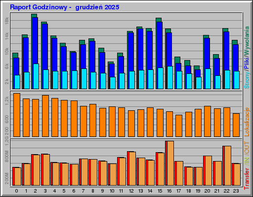 Raport Godzinowy -  grudzień 2025
