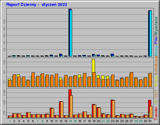 Raport Dzienny -  styczeń 2023