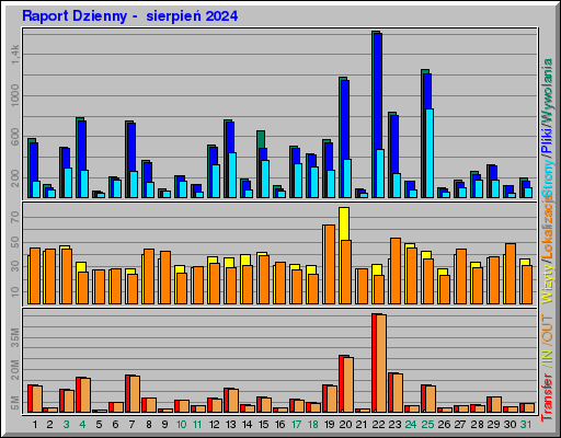 Raport Dzienny -  sierpień 2024