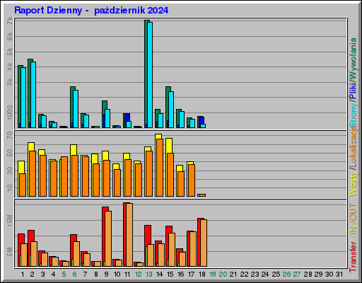 Raport Dzienny -  październik 2024