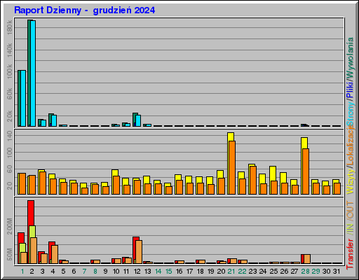 Raport Dzienny -  grudzień 2024