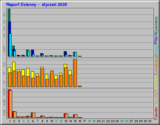 Raport Dzienny -  styczeń 2025