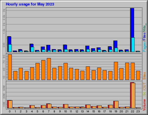 Raport Godzinowy -  Maj 2023