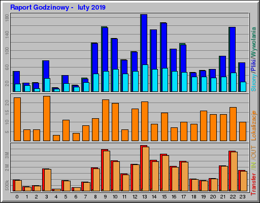 Raport Godzinowy -  luty 2019