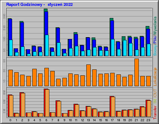 Raport Godzinowy -  styczeń 2022