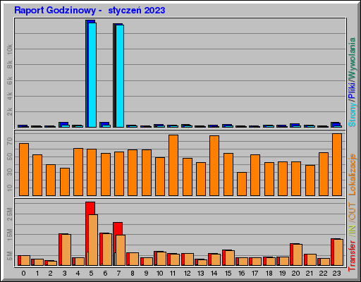 Raport Godzinowy -  styczeń 2023