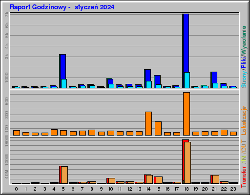 Raport Godzinowy -  styczeń 2024