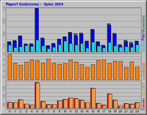 Raport Godzinowy -  lipiec 2024
