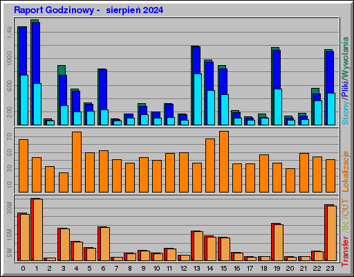 Raport Godzinowy -  sierpień 2024