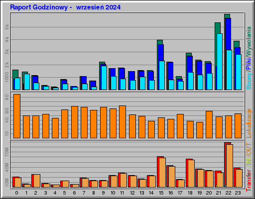 Raport Godzinowy -  wrzesień 2024