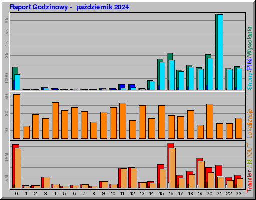 Raport Godzinowy -  październik 2024