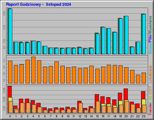 Raport Godzinowy -  listopad 2024