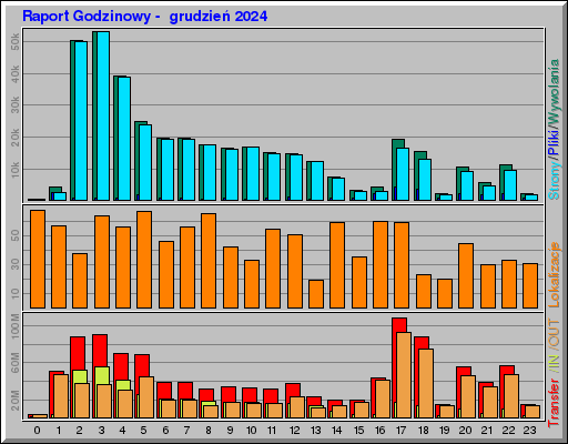 Raport Godzinowy -  grudzień 2024