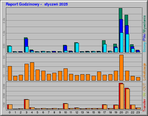 Raport Godzinowy -  styczeń 2025