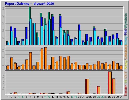 Raport Dzienny -  styczeń 2020