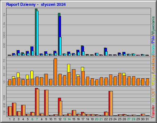 Raport Dzienny -  styczeń 2024