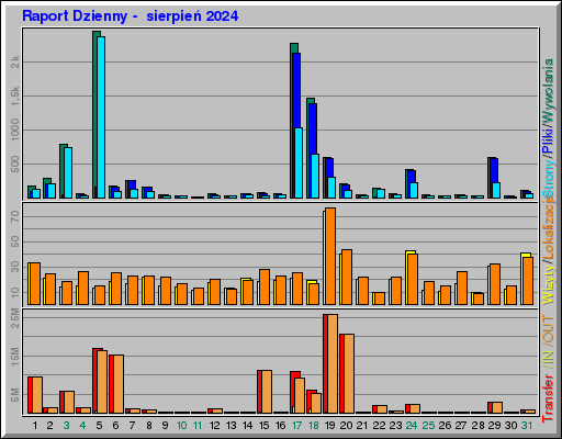 Raport Dzienny -  sierpień 2024