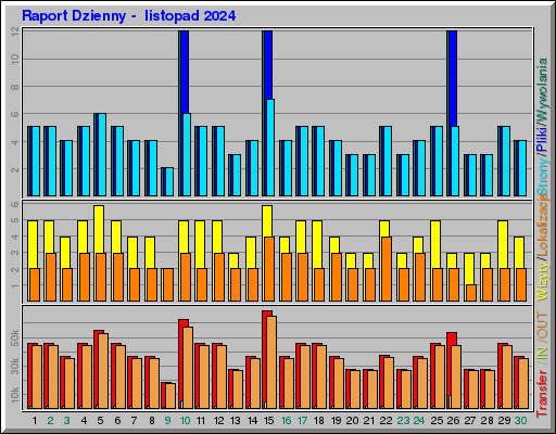 Raport Dzienny -  listopad 2024